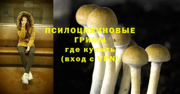 крисы Алексин
