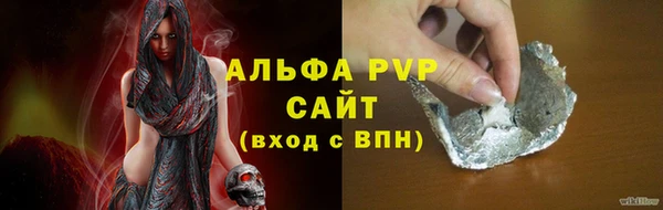 крисы Алексин