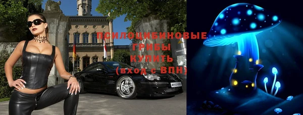 mdpv Алзамай